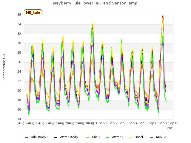 plot of Mayberry Tule Tower: IRT and Sensor Temp