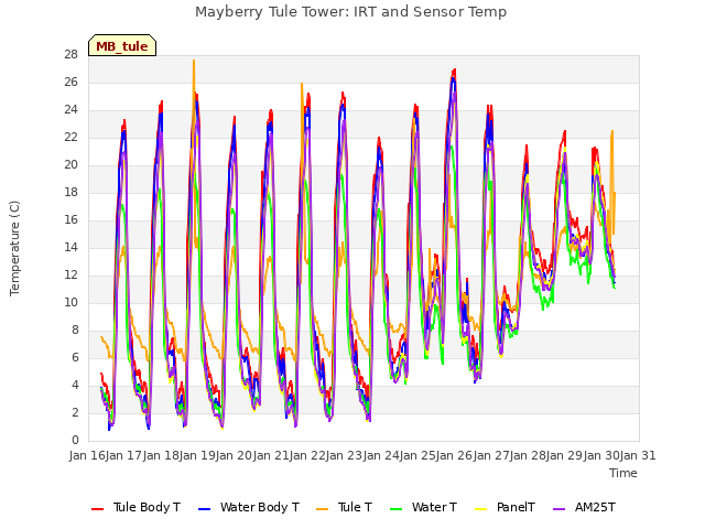 plot of Mayberry Tule Tower: IRT and Sensor Temp