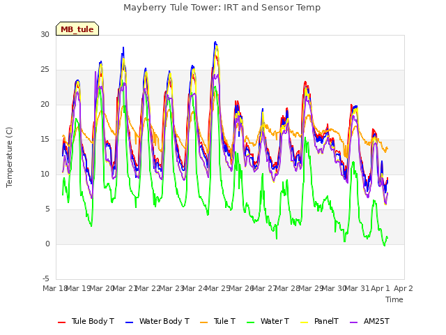 plot of Mayberry Tule Tower: IRT and Sensor Temp