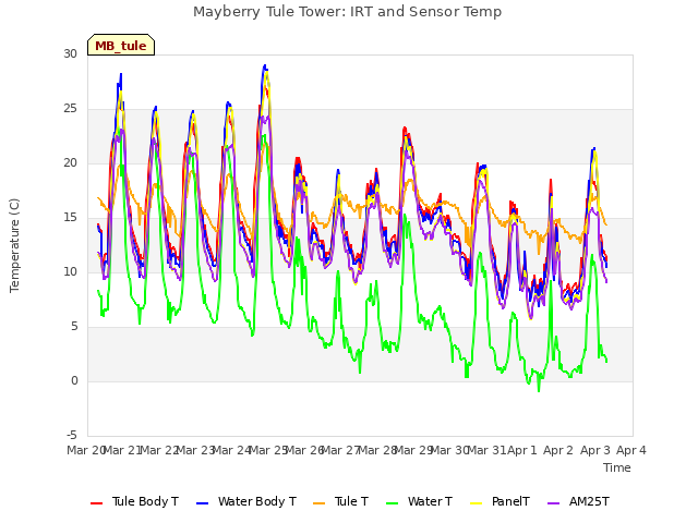 plot of Mayberry Tule Tower: IRT and Sensor Temp