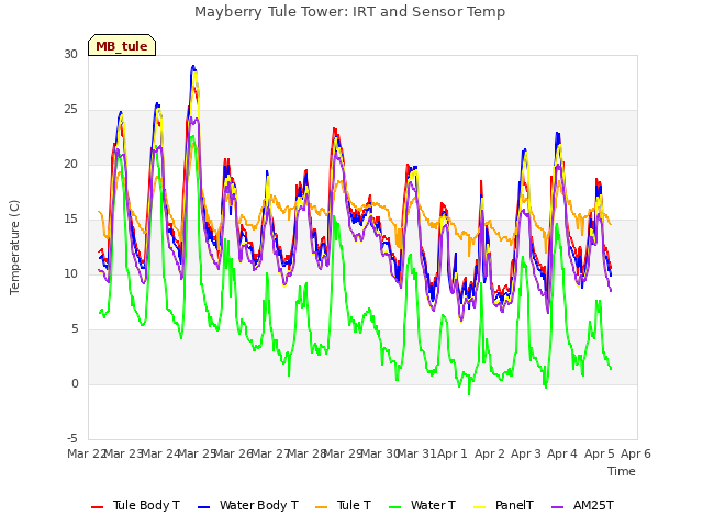 plot of Mayberry Tule Tower: IRT and Sensor Temp