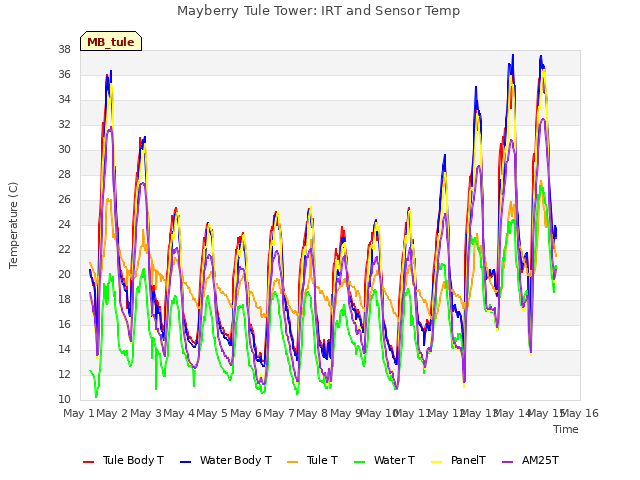 plot of Mayberry Tule Tower: IRT and Sensor Temp