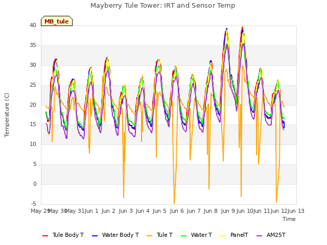 plot of Mayberry Tule Tower: IRT and Sensor Temp