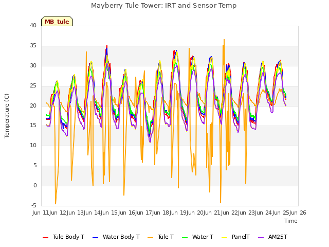 plot of Mayberry Tule Tower: IRT and Sensor Temp