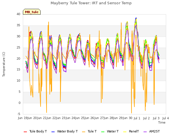 plot of Mayberry Tule Tower: IRT and Sensor Temp