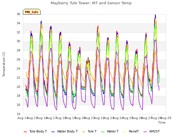 plot of Mayberry Tule Tower: IRT and Sensor Temp