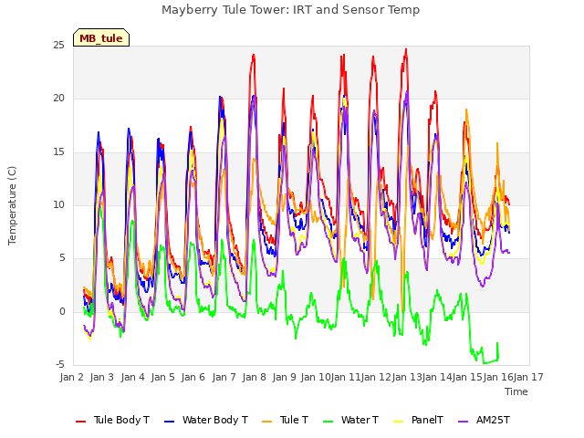 plot of Mayberry Tule Tower: IRT and Sensor Temp