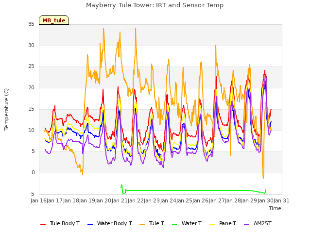 plot of Mayberry Tule Tower: IRT and Sensor Temp