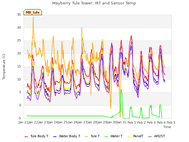 plot of Mayberry Tule Tower: IRT and Sensor Temp