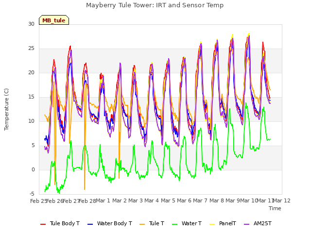 plot of Mayberry Tule Tower: IRT and Sensor Temp