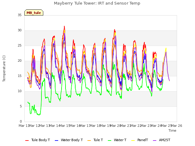 plot of Mayberry Tule Tower: IRT and Sensor Temp