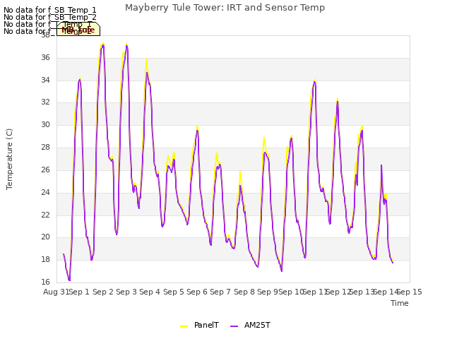 plot of Mayberry Tule Tower: IRT and Sensor Temp