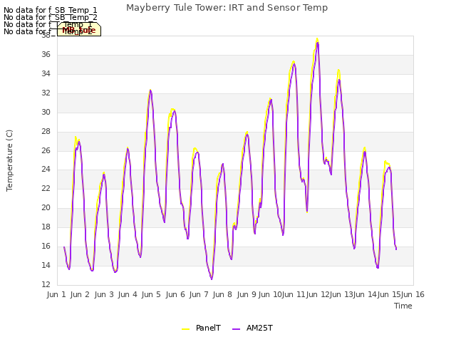 plot of Mayberry Tule Tower: IRT and Sensor Temp