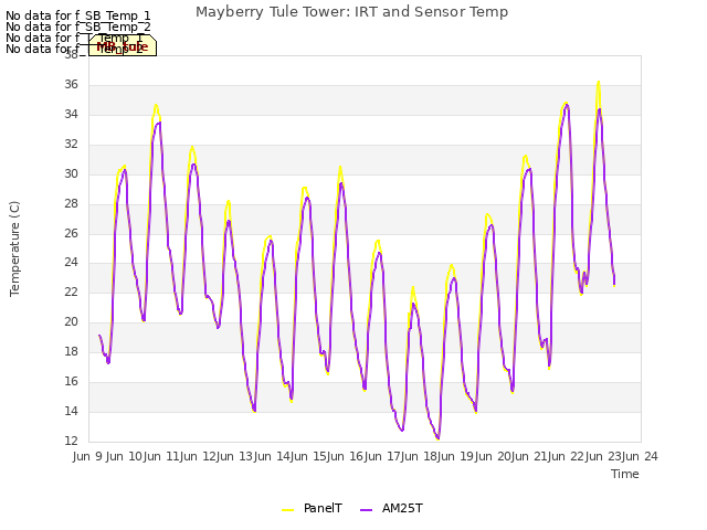plot of Mayberry Tule Tower: IRT and Sensor Temp