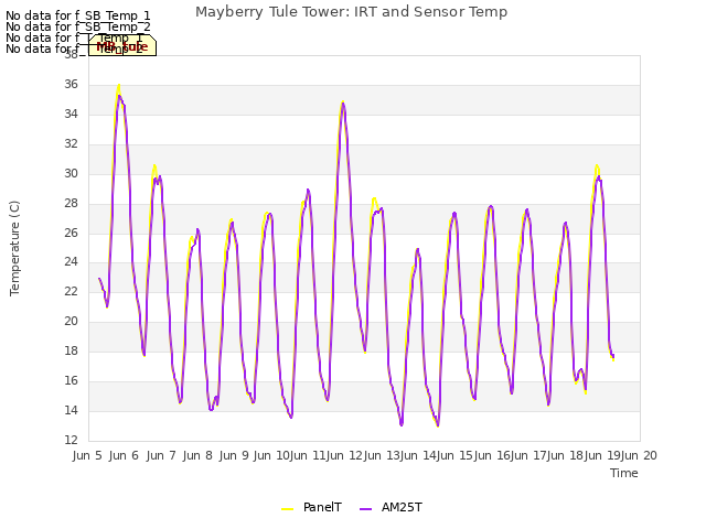 plot of Mayberry Tule Tower: IRT and Sensor Temp