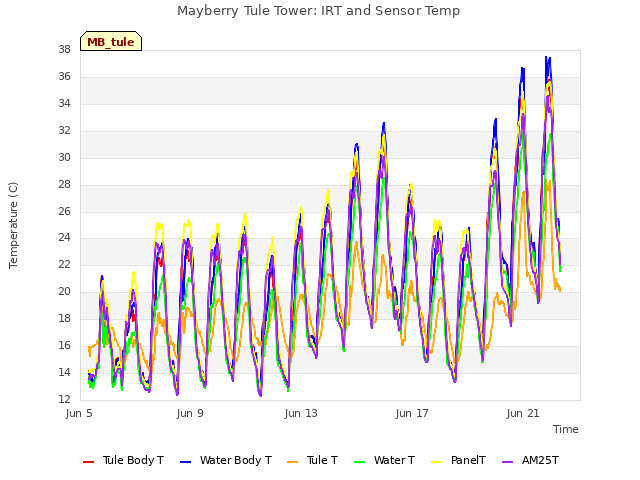 Explore the graph:Mayberry Tule Tower: IRT and Sensor Temp in a new window
