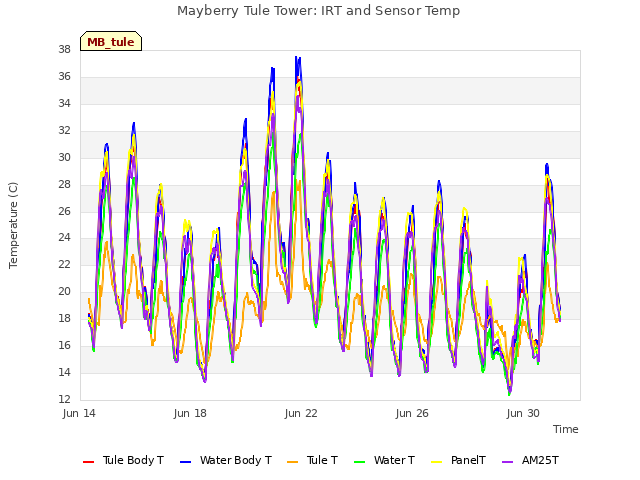 Explore the graph:Mayberry Tule Tower: IRT and Sensor Temp in a new window