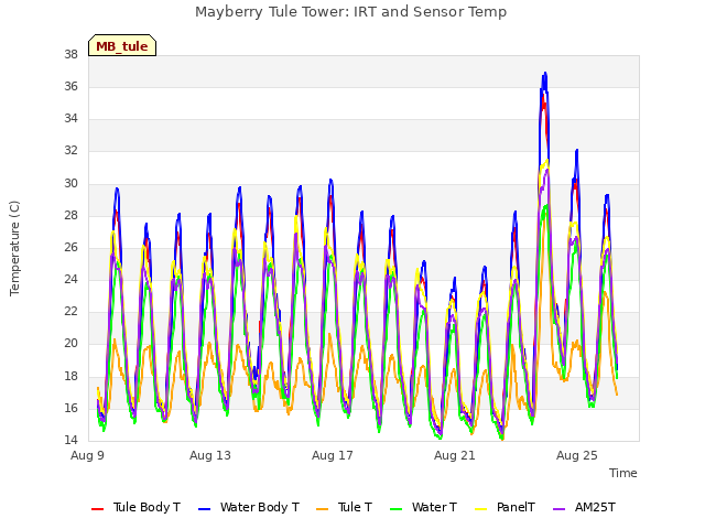 Explore the graph:Mayberry Tule Tower: IRT and Sensor Temp in a new window