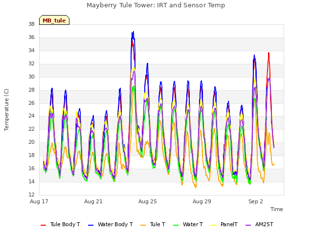 Explore the graph:Mayberry Tule Tower: IRT and Sensor Temp in a new window