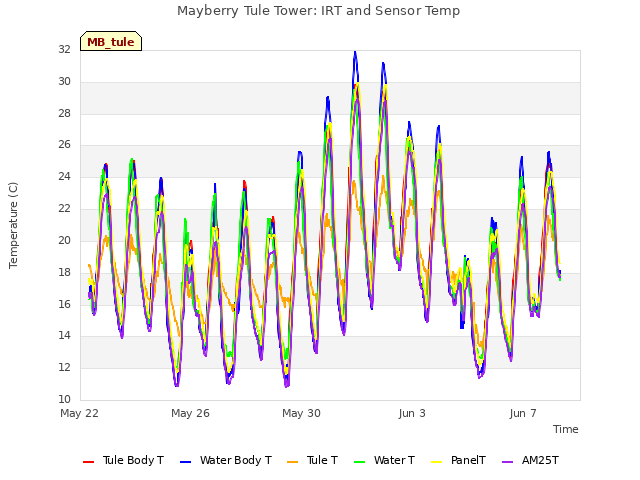 Explore the graph:Mayberry Tule Tower: IRT and Sensor Temp in a new window