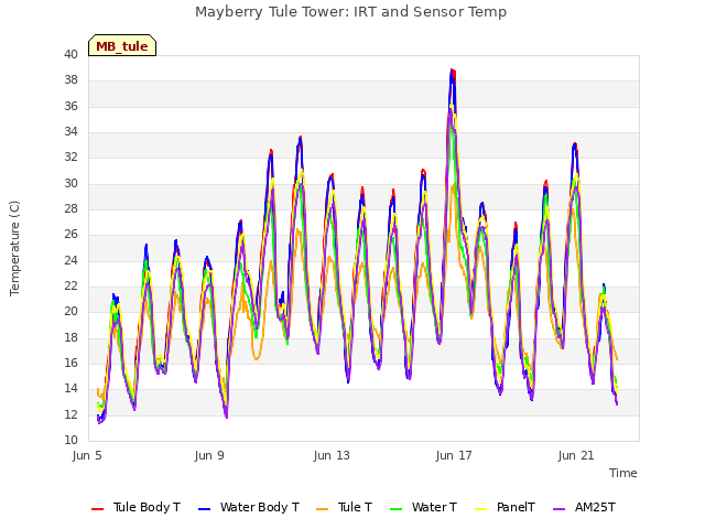 Explore the graph:Mayberry Tule Tower: IRT and Sensor Temp in a new window