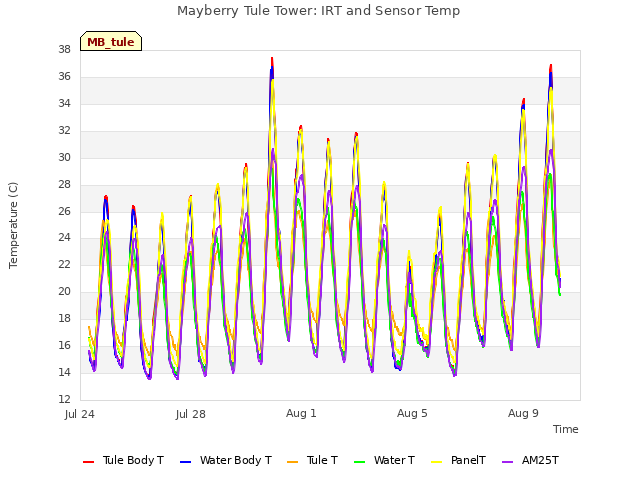Explore the graph:Mayberry Tule Tower: IRT and Sensor Temp in a new window