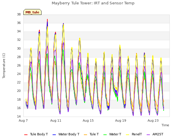 Explore the graph:Mayberry Tule Tower: IRT and Sensor Temp in a new window