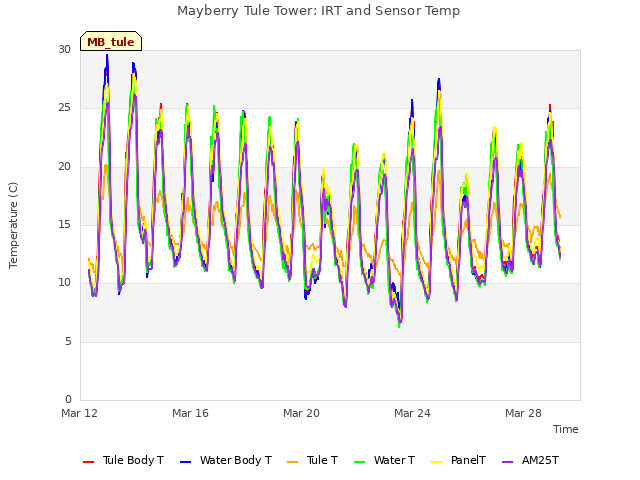 Explore the graph:Mayberry Tule Tower: IRT and Sensor Temp in a new window
