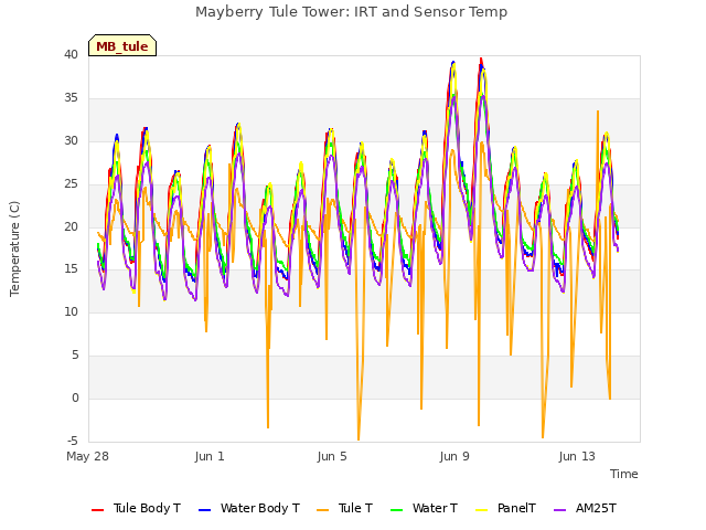 Explore the graph:Mayberry Tule Tower: IRT and Sensor Temp in a new window