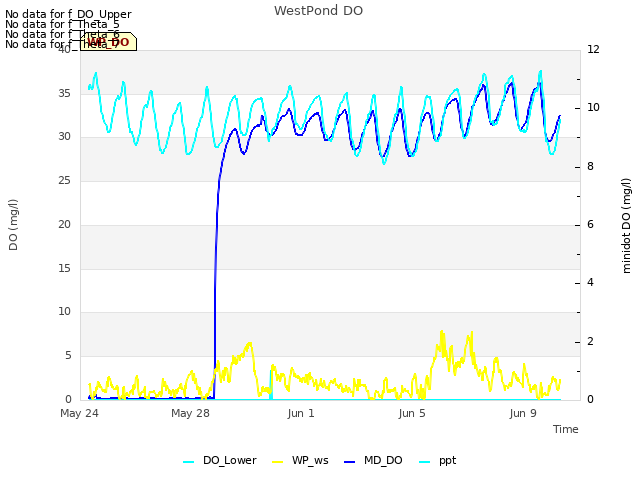 Explore the graph:WestPond DO in a new window