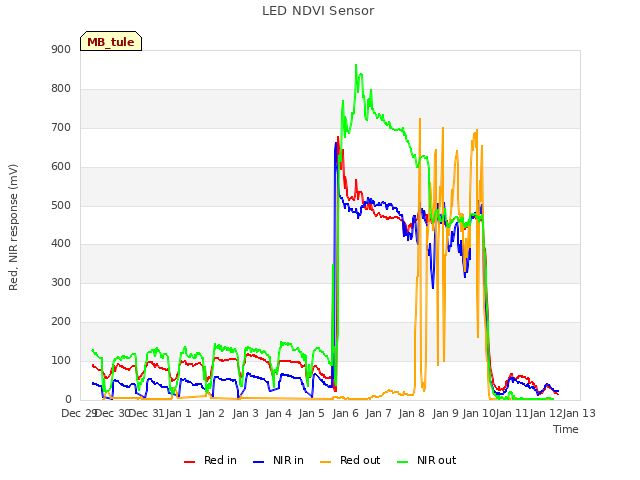 plot of LED NDVI Sensor