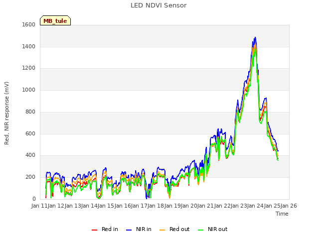 plot of LED NDVI Sensor