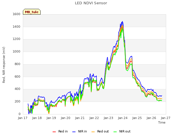 plot of LED NDVI Sensor