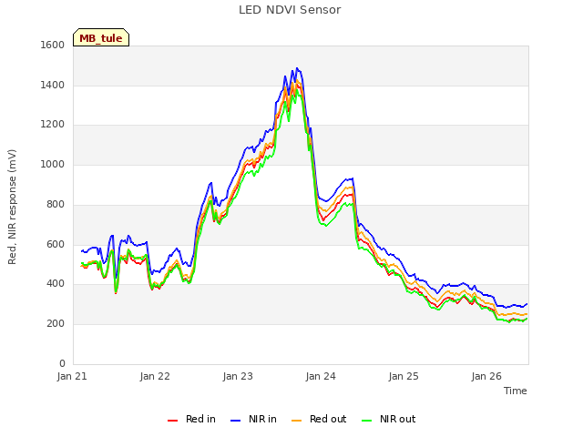 plot of LED NDVI Sensor