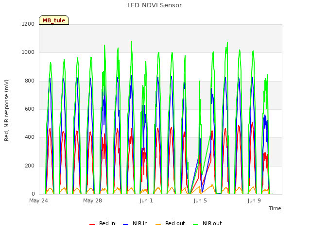 Explore the graph:LED NDVI Sensor in a new window