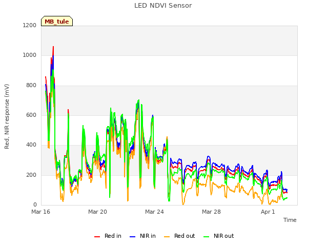 Explore the graph:LED NDVI Sensor in a new window
