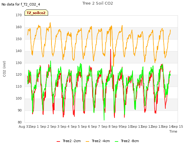 plot of Tree 2 Soil CO2