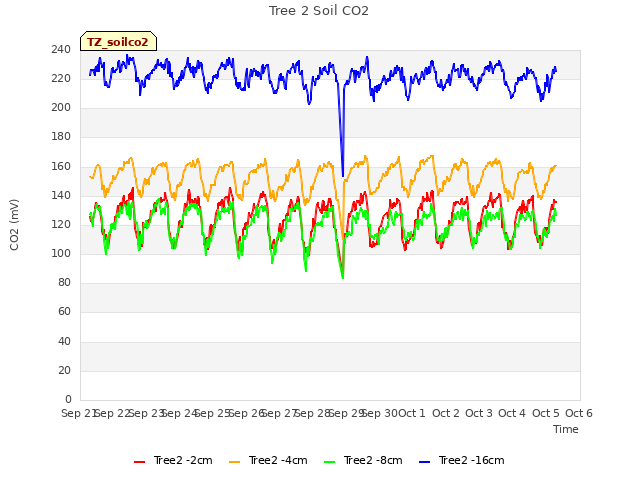 plot of Tree 2 Soil CO2