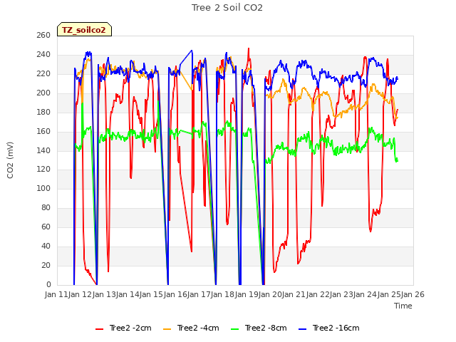 plot of Tree 2 Soil CO2