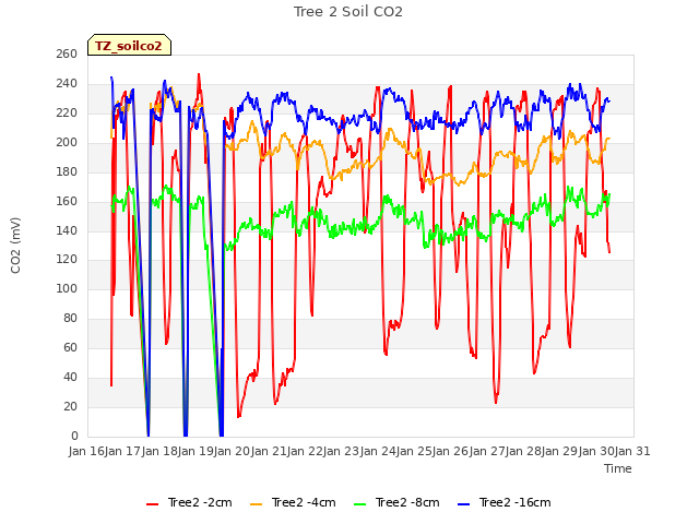 plot of Tree 2 Soil CO2