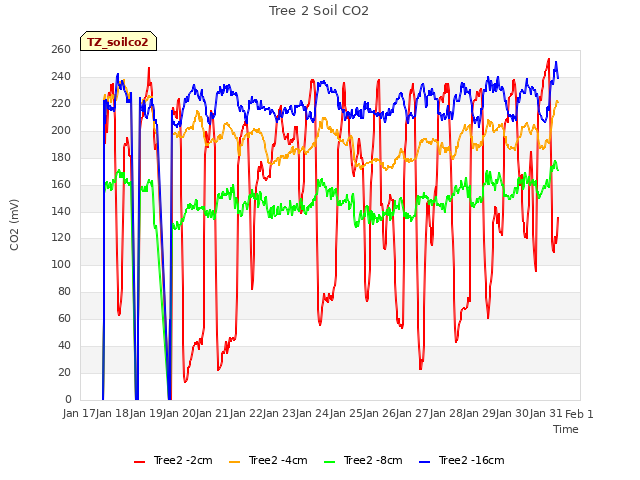 plot of Tree 2 Soil CO2