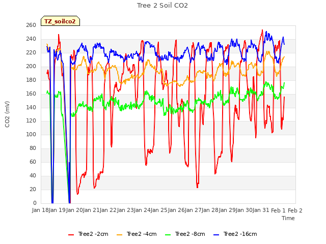 plot of Tree 2 Soil CO2