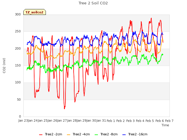 plot of Tree 2 Soil CO2