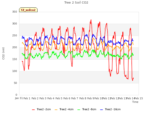 plot of Tree 2 Soil CO2