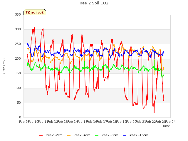 plot of Tree 2 Soil CO2