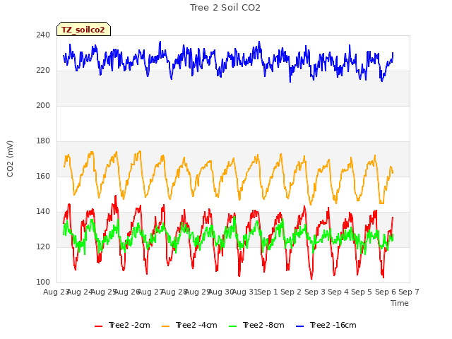 plot of Tree 2 Soil CO2