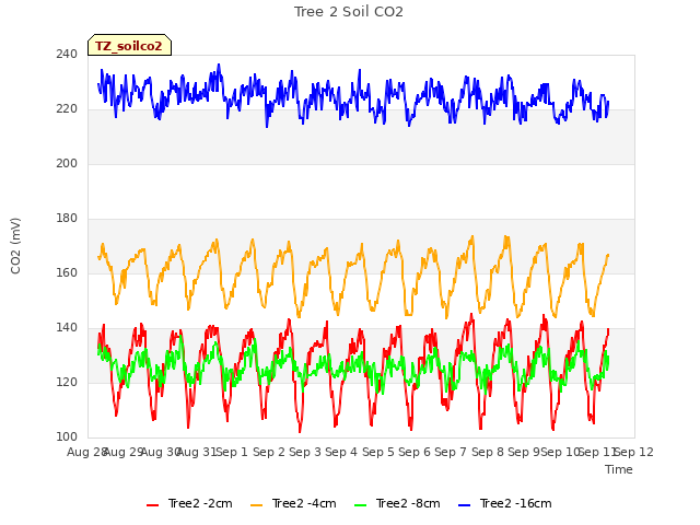 plot of Tree 2 Soil CO2