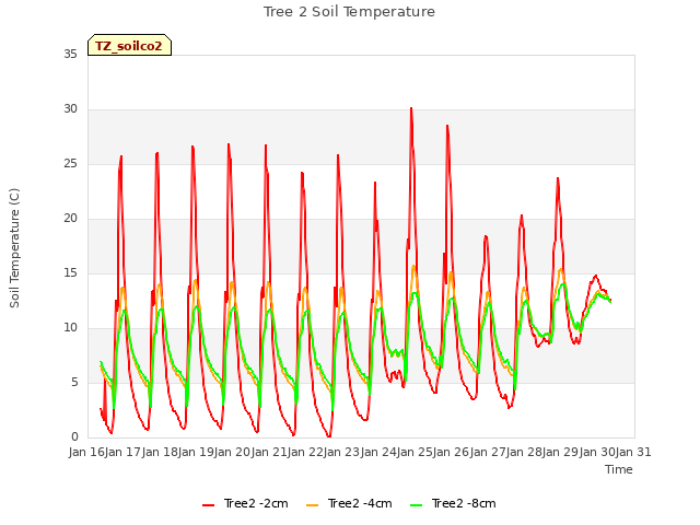 plot of Tree 2 Soil Temperature