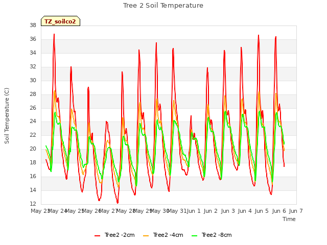plot of Tree 2 Soil Temperature