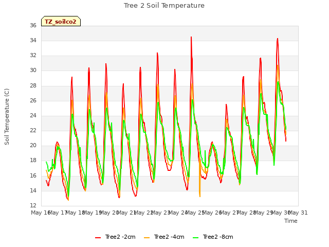 plot of Tree 2 Soil Temperature